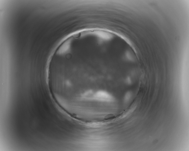 X0000088141535200706041959