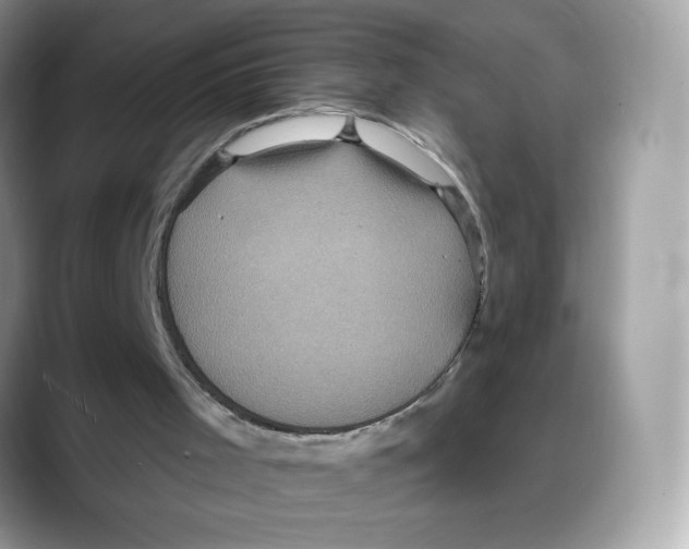 X0000088140001200706111434