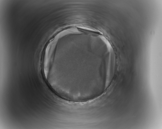 X0000088140002200706111434