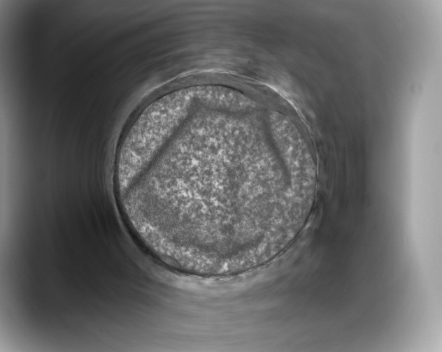 X0000088140003200706111434