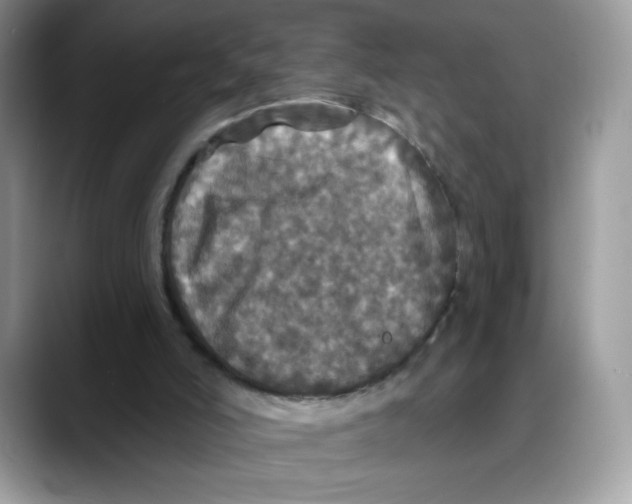 X0000088140006200706111434