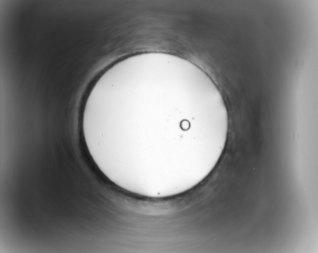 X0000088140008200706111433