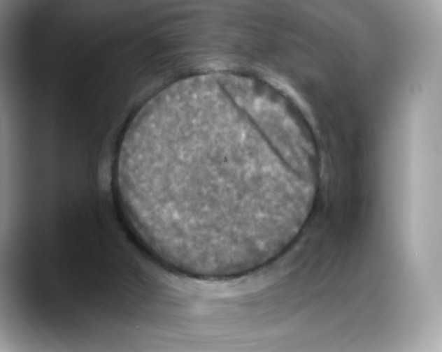 X0000088140010200706111433