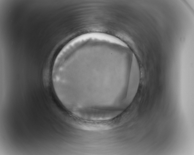 X0000088140012200706111433