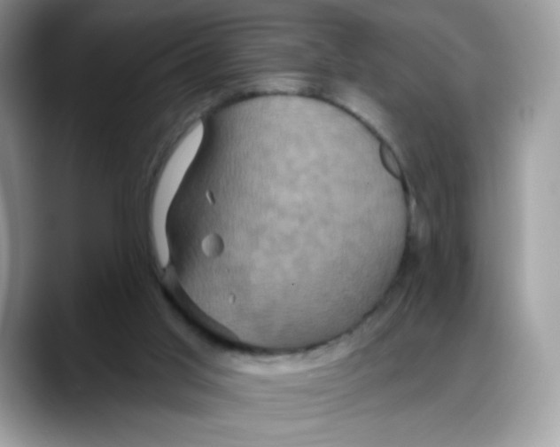 X0000088140013200706111433