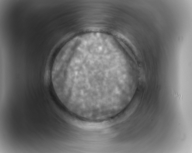 X0000088140016200706111433