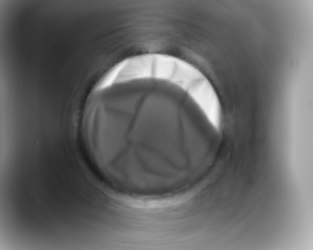 X0000088140018200706111433