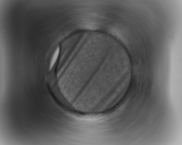 X0000088140020200706111433