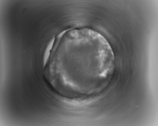 X0000088140022200706111433