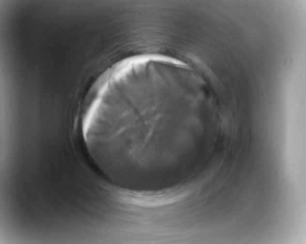 X0000088140026200706111433