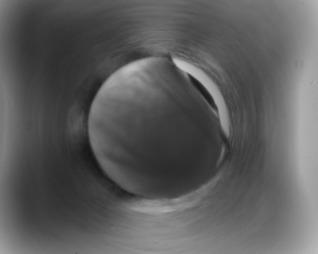 X0000088140029200706111433