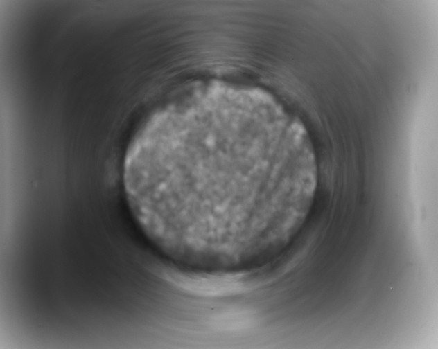 X0000088140032200706111433