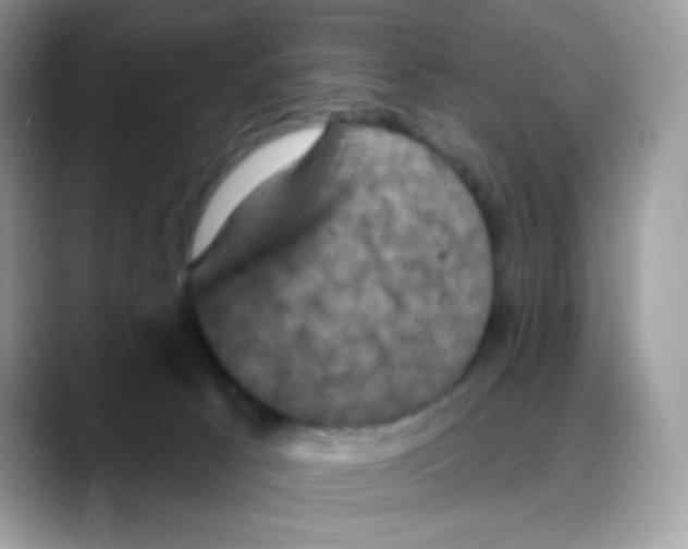 X0000088140033200706111433