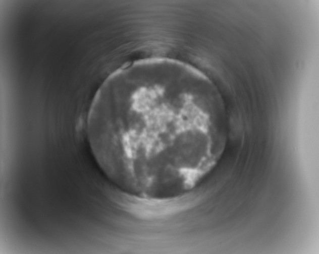 X0000088140034200706111433