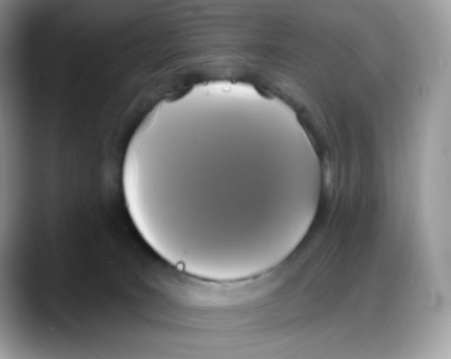 X0000088140035200706111433