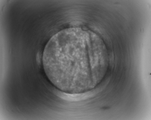 X0000088140038200706111433