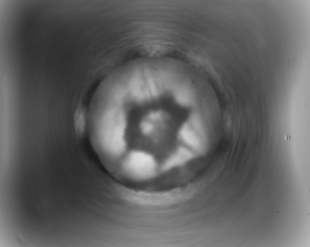 X0000088140042200706111433