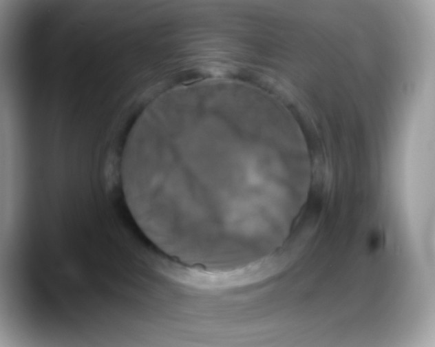 X0000088140043200706111433