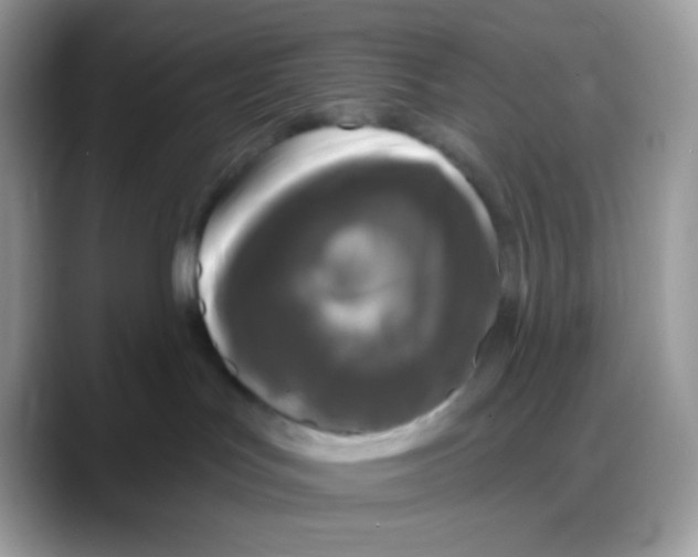 X0000088140047200706111433