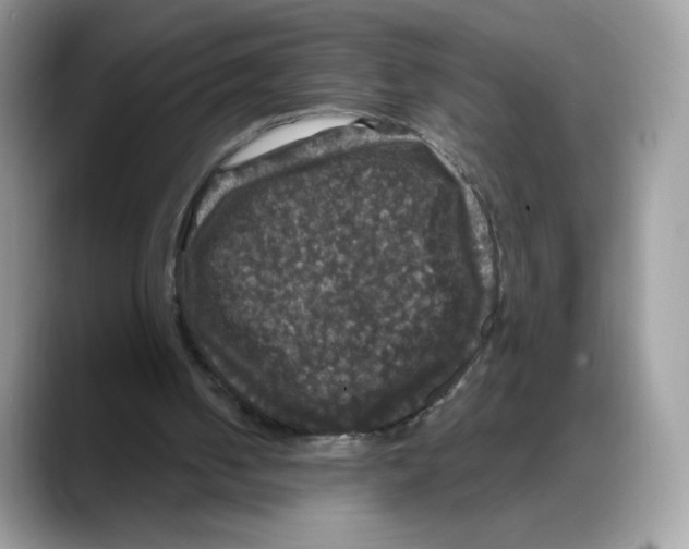 X0000088140050200706111432