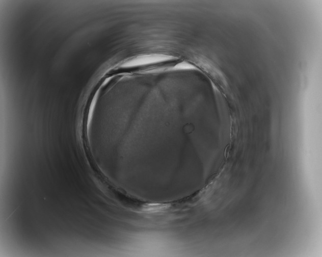 X0000088140051200706111432