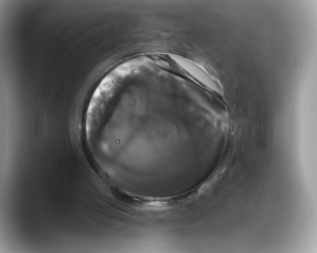 X0000088140053200706111433