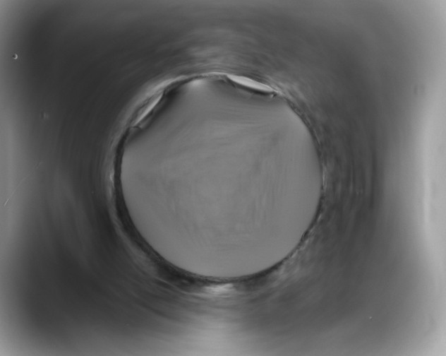 X0000088140054200706111433