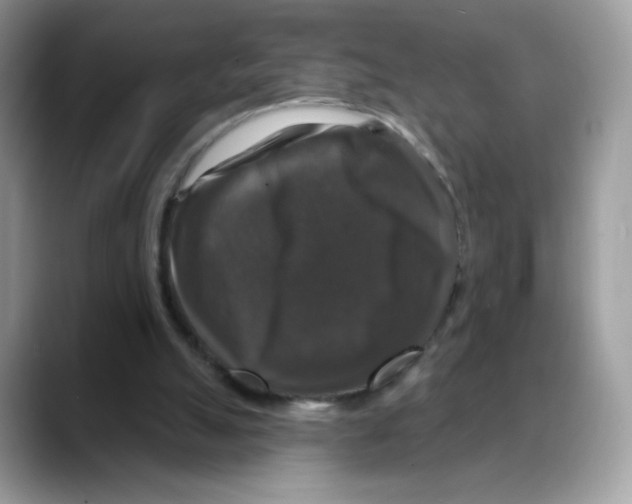 X0000088140055200706111433