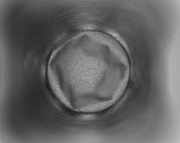 X0000088140057200706111433