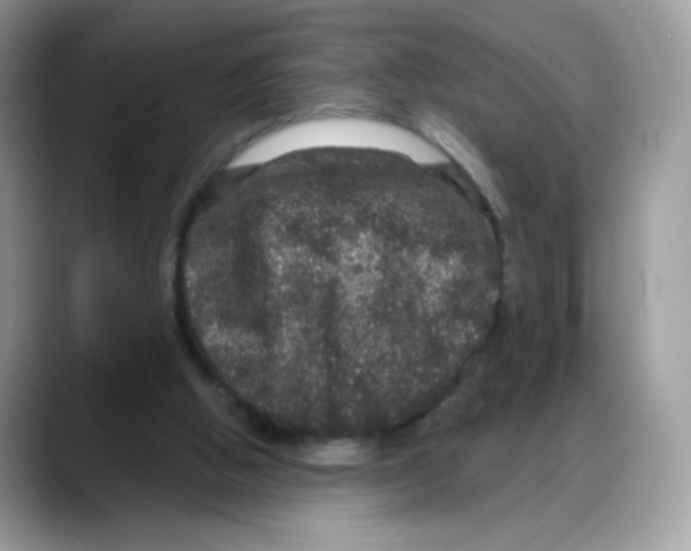 X0000088140058200706111433