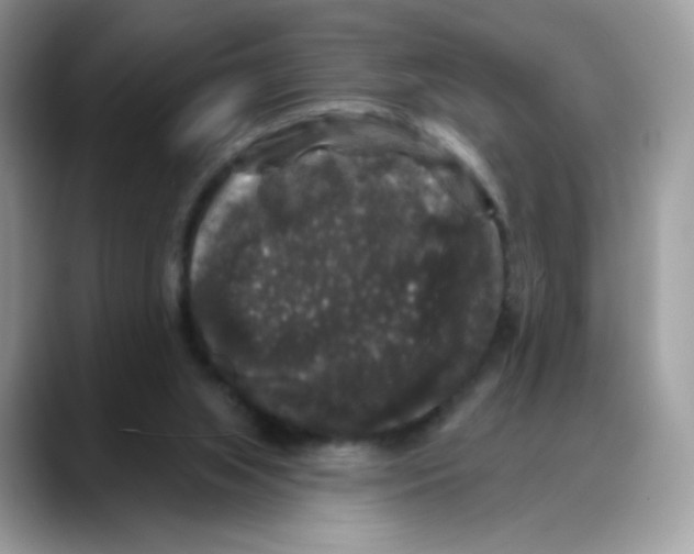 X0000088140063200706111433