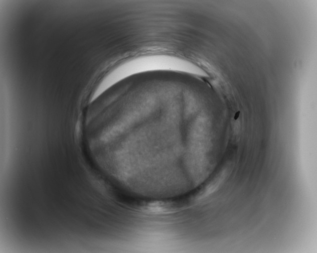 X0000088140064200706111433