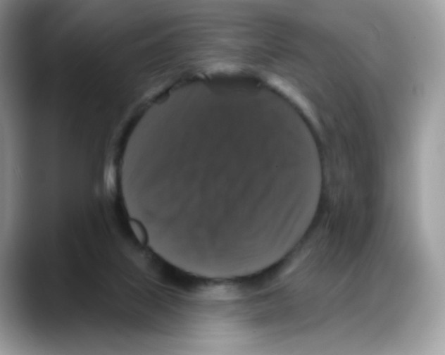 X0000088140067200706111433