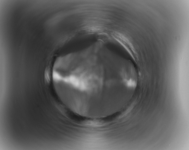 X0000088140069200706111433