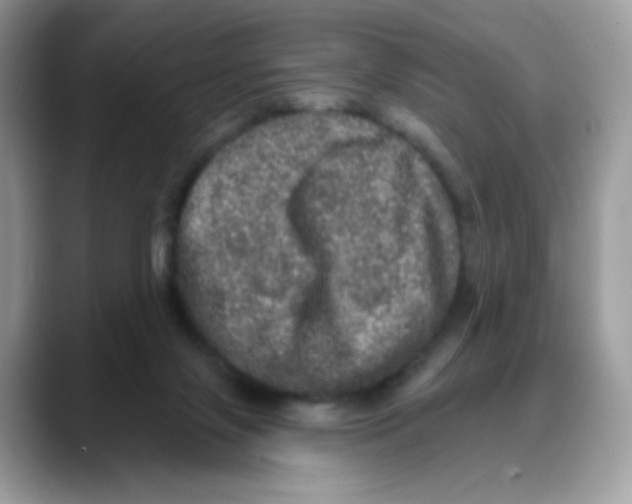 X0000088140071200706111433