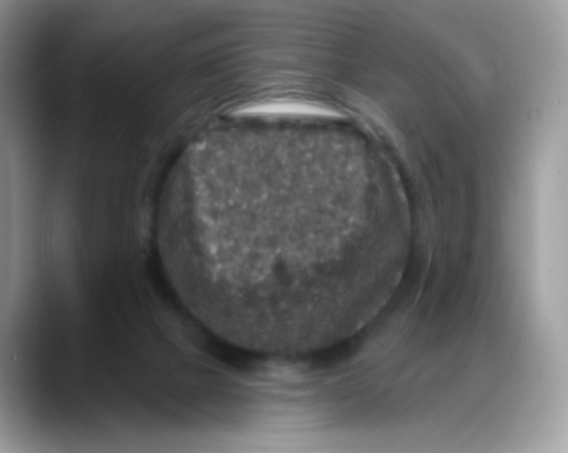 X0000088140073200706111433