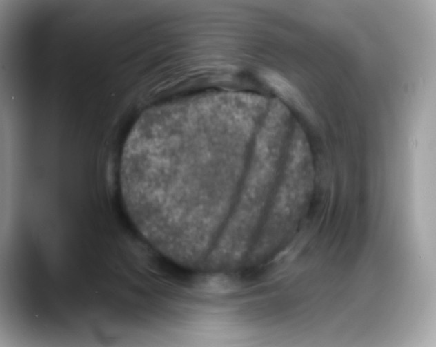 X0000088140074200706111433