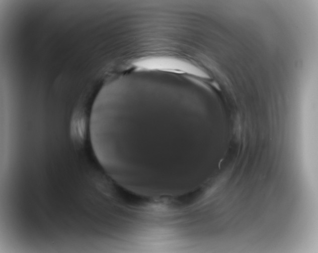 X0000088140076200706111433