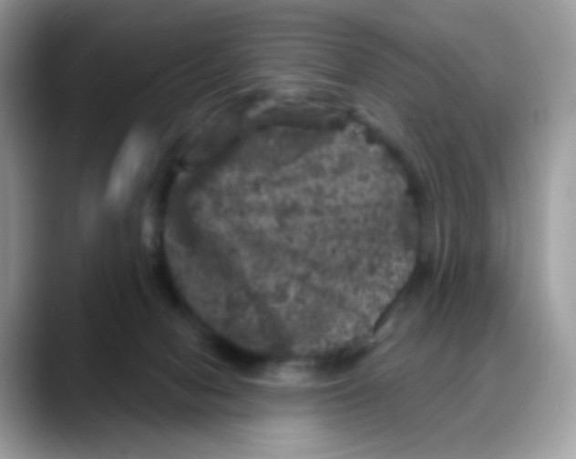 X0000088140078200706111433