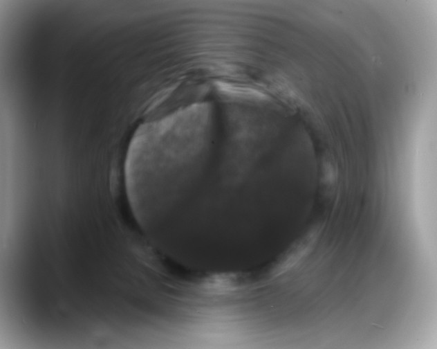 X0000088140080200706111433