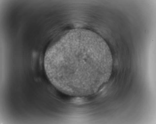 X0000088140082200706111433