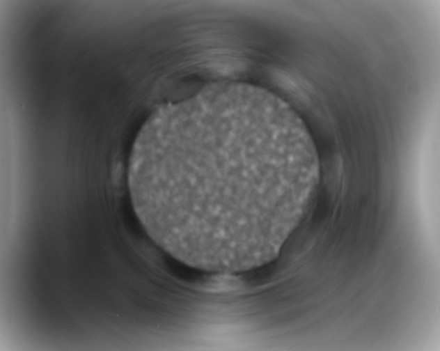 X0000088140087200706111433