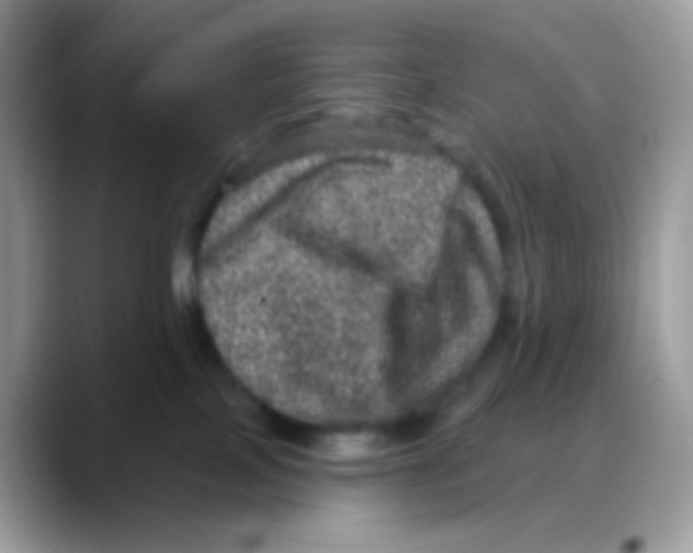 X0000088140089200706111433