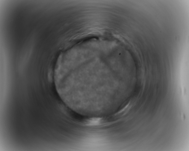 X0000088140090200706111433