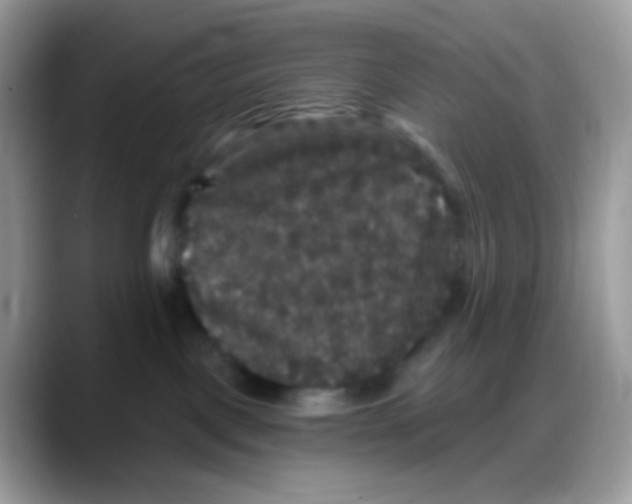 X0000088140093200706111433