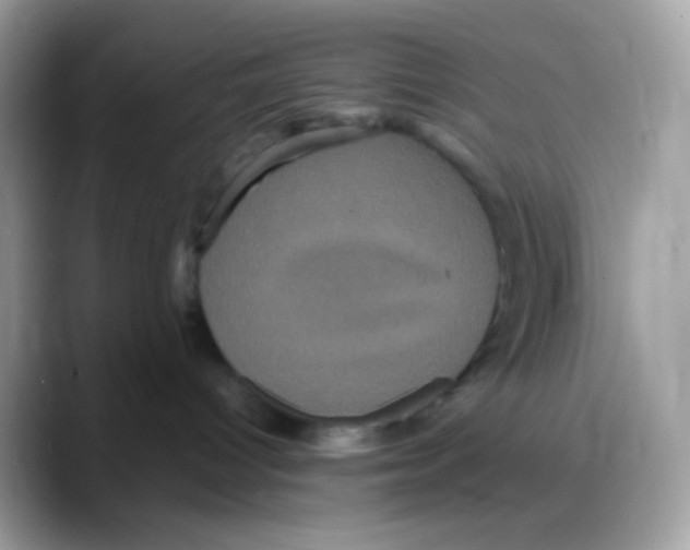 X0000088140096200706111433