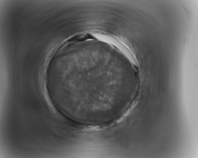 X0000088140097200706111432