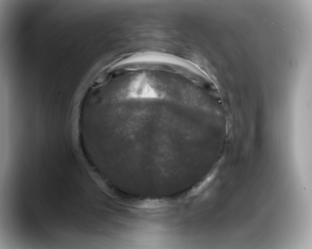 X0000088140101200706111432