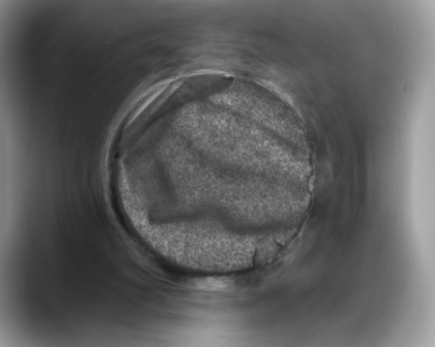 X0000088140102200706111432