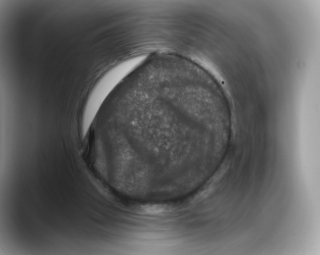 X0000088140105200706111432